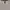 H&M gray croptop with lace and ribbon details – u neck photo 2