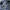 Vintage Jeans Pria blue photo 6