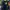 The North Face Gorpcore Indie Polo shirt Pria green navy photo 1