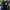 The North Face Gorpcore Indie Polo Shirt Pria Green Navy
