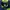 The North Face Gorpcore Indie Polo shirt Pria green navy photo 3