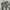 Japanese brand Y2K Avant Garde Flare pants Wanita gray photo 3