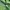 Oioi Casual Hoody Pria green photo 3