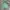 Oioi Casual Hoody Pria green photo 1