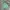 Oioi Casual Hoody Pria Green