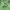 Oioi Casual Hoody Pria green photo 2