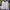 Fila Luxury Casual Polo shirt Pria white black photo 1
