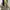 Vintage Y2K Crop top Wanita tan photo 1
