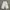 Muji Futurist Casual Pria gray photo 1