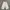 Muji Futurist Casual Pria Gray