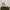 Timberland Casual Boots Pria white photo 4