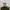 Timberland Casual Boots Pria white photo 3