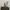 Timberland Casual Boots Pria white photo 1