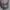 Vintage Y2K Formal shirt Pria gray photo 3