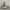 Adidas Casual Sneakers Pria green white photo 1