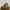 Yeezy Streetwear Casual Sneakers Pria Orange Gray