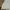 Coquette Casual Maxi skirt Wanita white photo 2