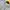 Emo Casual Sweatshirt Wanita gray photo 3