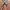 Nudie Streetwear Casual Jeans Pria multicolor blue photo 2