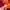 PALACE Streetwear Casual Jumper Pria red photo 4