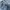 Carhartt Streetwear Indie Casual pants Pria white blue photo 3