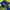 Ellesse Outerwear Kids multicolor yellow photo 5