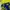 Ellesse Outerwear Kids multicolor yellow photo 4