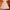 Vintage Evening dress Wanita cream photo 3
