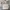 Japanese brand Vintage Casual Bag Pria white cream photo 1