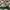 Descente Outerwear Kids multicolor cream photo 4