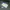 Descente Outerwear Kids multicolor cream photo 7