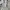 Nike Vintage Sportswear Boxer Pria white photo 3
