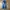 Japanese brand Streetwear Y2K Flare pants Wanita navy photo 1