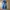 Japanese Brand Streetwear Y2K Flare Pants Wanita Navy