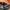 Fieldcore Gorpcore Grunge Puffer jacket Pria orange photo 7