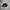 Adidas Streetwear Skater Sneakers Pria black photo 1