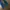 True Religion Streetwear Y2K Flare pants Wanita navy photo 8