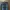 True Religion Streetwear Y2K Flare pants Wanita navy photo 3