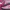 Adidas Streetwear Casual Sneakers Wanita white pink photo 2