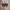 Adidas Streetwear Casual Sneakers Pria white black photo 1