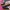 Adidas Streetwear Casual Sneakers Wanita pink black photo 2