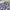 Dickies Vintage Casual Casual shirt Pria purple white photo 2