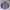 Dickies Vintage Casual Casual Shirt Pria Purple White