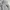Vision Street Wear Vintage Streetwear Puffer jacket Pria gray photo 5