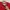 Champion Vintage Streetwear Sweatshirt Pria red photo 3
