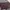 Charles And Keith Casual Handbag Wanita Burgundy