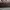 Charles and Keith Casual Handbag Wanita burgundy photo 2