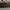 Charles And Keith Casual Handbag Wanita Burgundy
