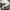 Biker Sock Pria white photo 3