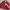 Casual Harrington jacket Pria burgundy red photo 2